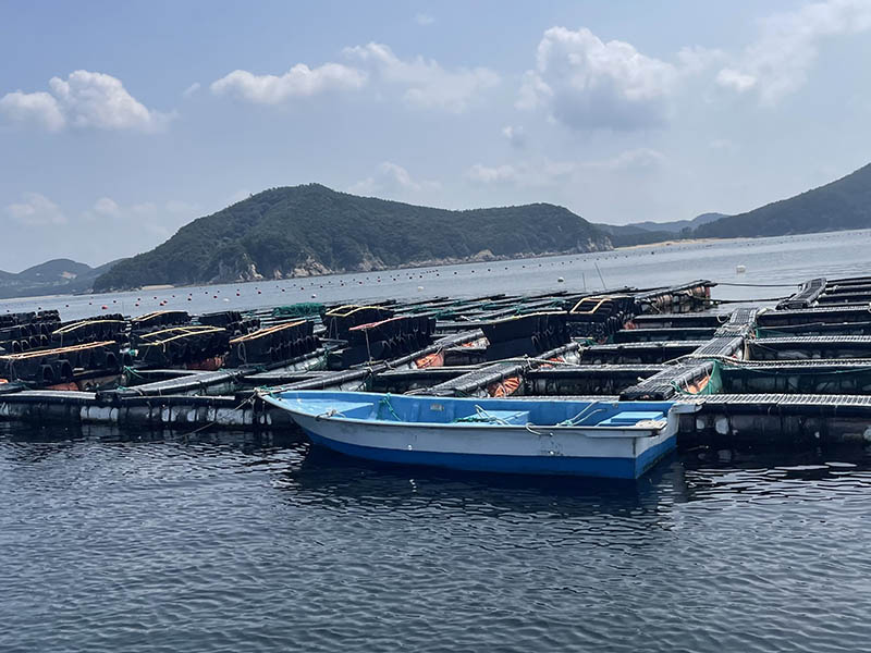 충남 태안